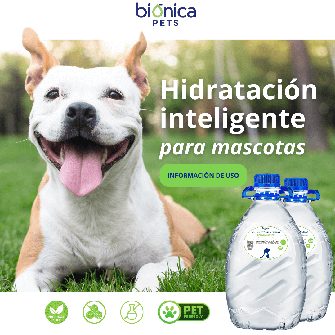hidratacion para mascotas perros y gatos