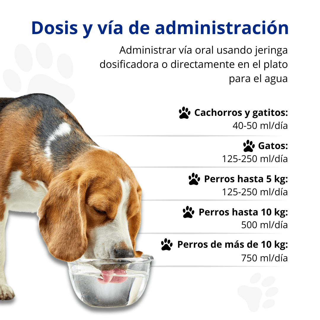 Hidratación inteligente para mascotas extraordinarias. su mascota merece lo mejor, cada día