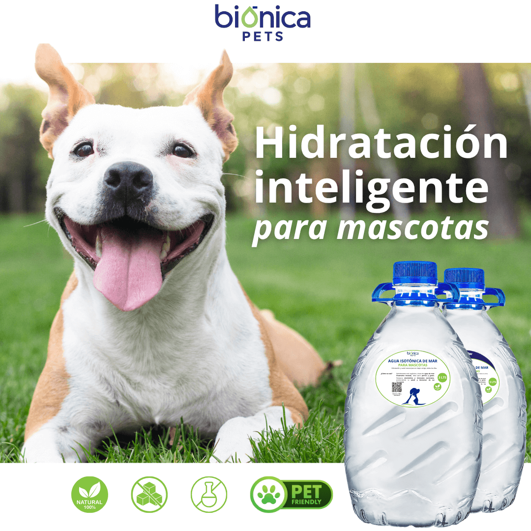 Hidratación para mascotas